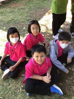 ภาพที่ 175