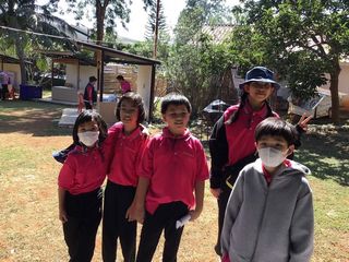 ภาพที่ 351